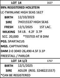 291618