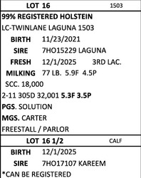 291623