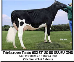 291656