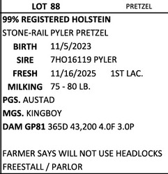 291913