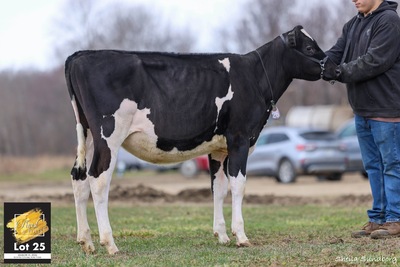 304172