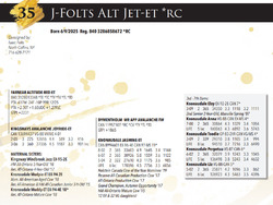 304207