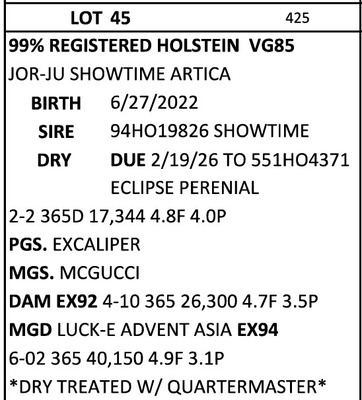 293673