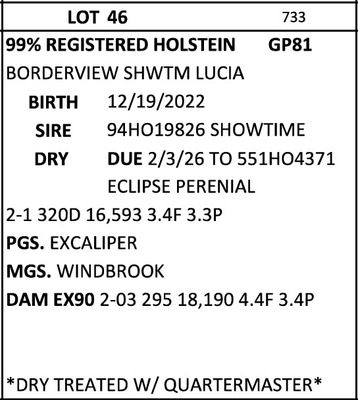 293675