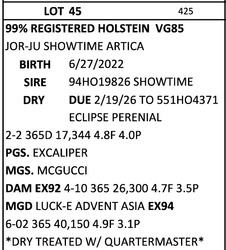 293673