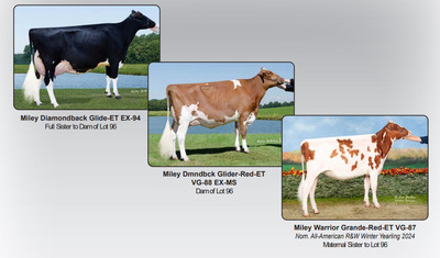 300589
