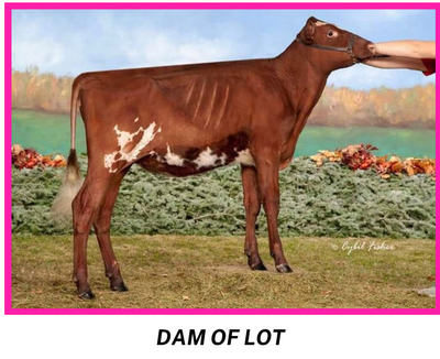303499