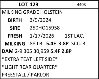 297153