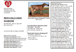 296147