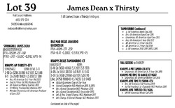 298023