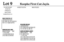 298054