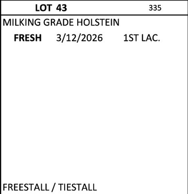 305913