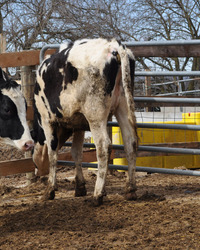 306050