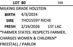 306133