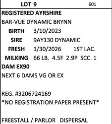 306171
