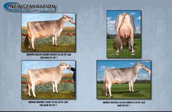 304373