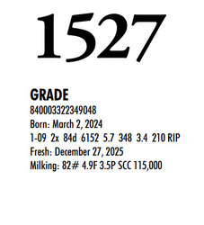 315743