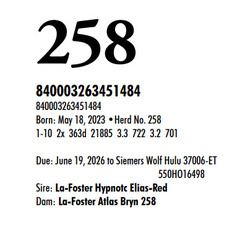 315846