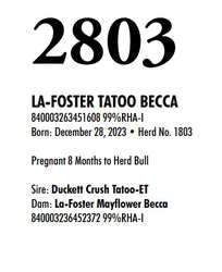 315855
