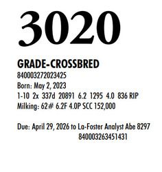 315866