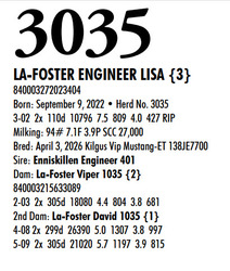 315869