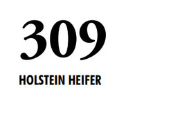 315873