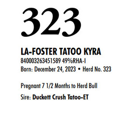 315885