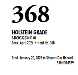 315913