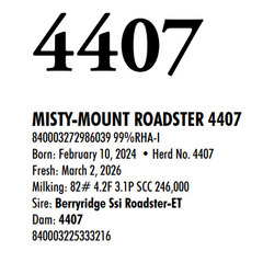 315952