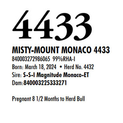 315963