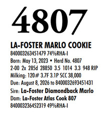 315979