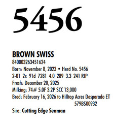 316004