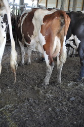 316261