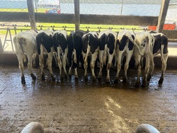 324295