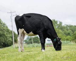 325186