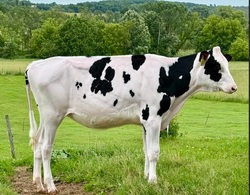 325191