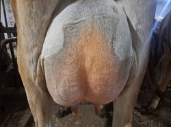 328967