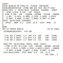 333578