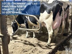 323736