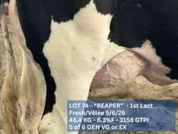 323790