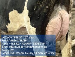 323824