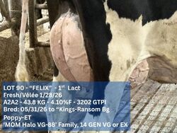 323826