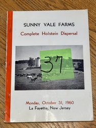 325075