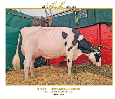328657