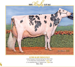 328537