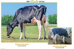 328735