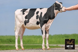 328758
