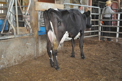 329531