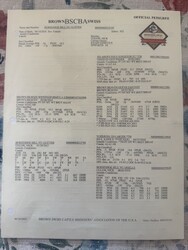 329072