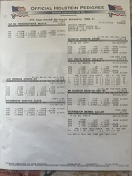 329079
